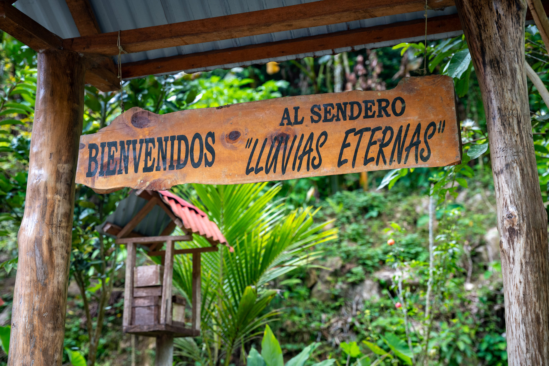 lluviaseternas004
